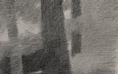 El jardín de la Tora (Exposición Marcelo Fuentes, Jardín Botánico Valencia)